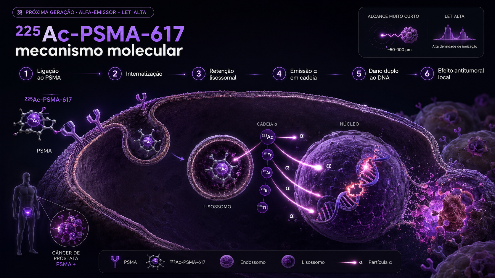 Mecanismo molecular do 225Ac-PSMA-617 — ligação ao PSMA, internalização, retenção lisossomal, emissão α em cadeia, dano duplo ao DNA e efeito antitumoral local